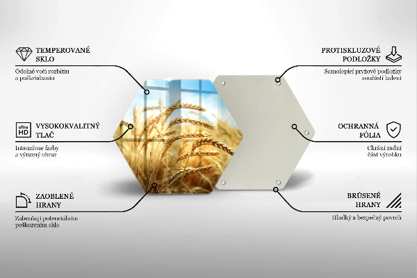 Protection plaque induction Épis de céréales dans le champ