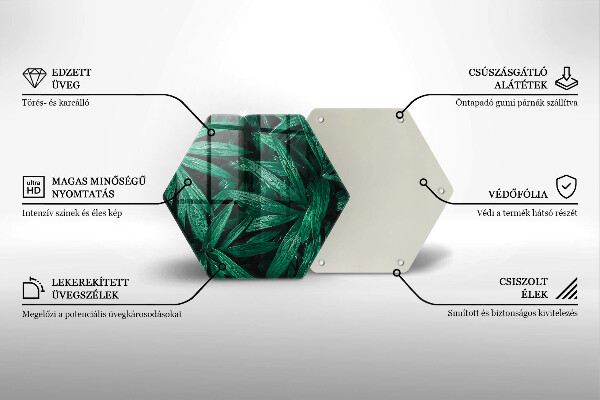 Protection plaque induction Feuilles de plantes