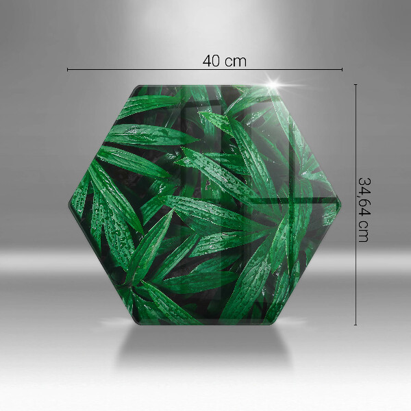 Protection plaque induction Feuilles de plantes