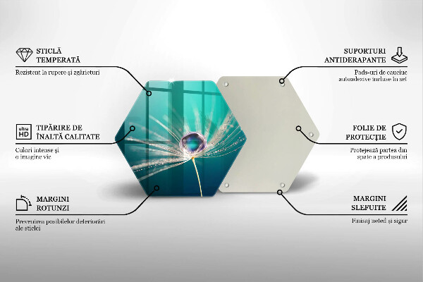 Protection plaque induction Rosée sur un pissenlit