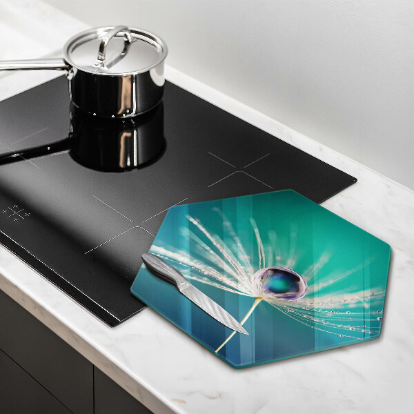 Protection plaque induction Rosée sur un pissenlit