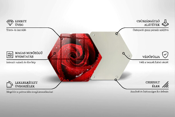 Cache plaque de cuisson Pétales de fleurs de roses