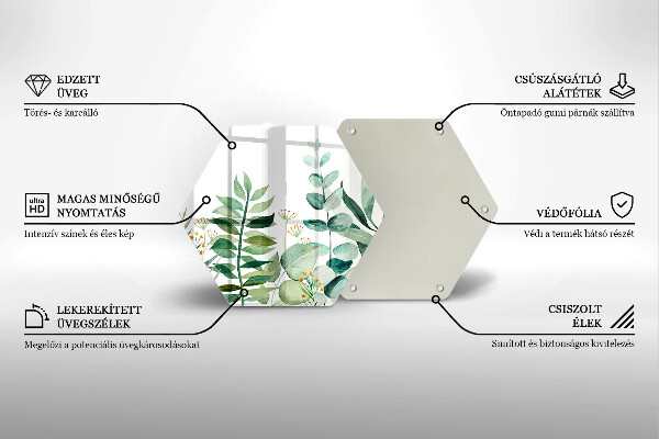 Protection plaque induction Illustration de feuilles de plantes