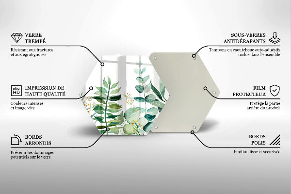 Protection plaque induction Illustration de feuilles de plantes