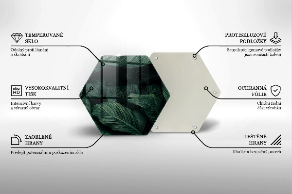 Protection plaque induction Feuilles sombres