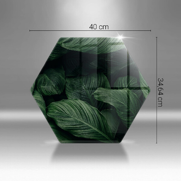 Protection plaque induction Feuilles sombres