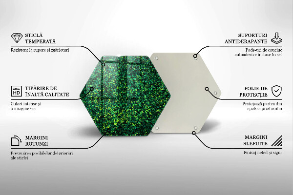 Protection plaque induction Plante à petites feuilles