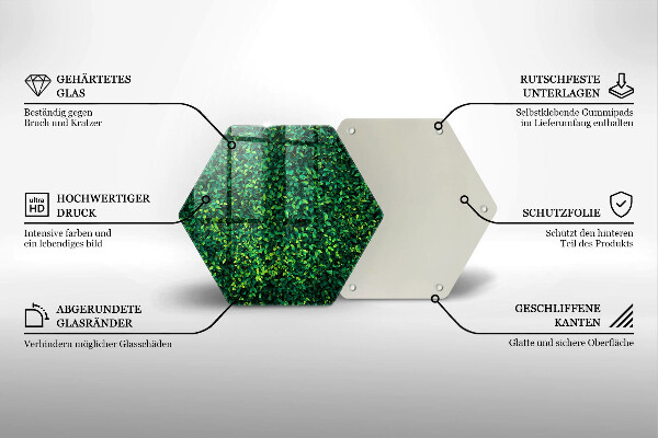 Protection plaque induction Plante à petites feuilles