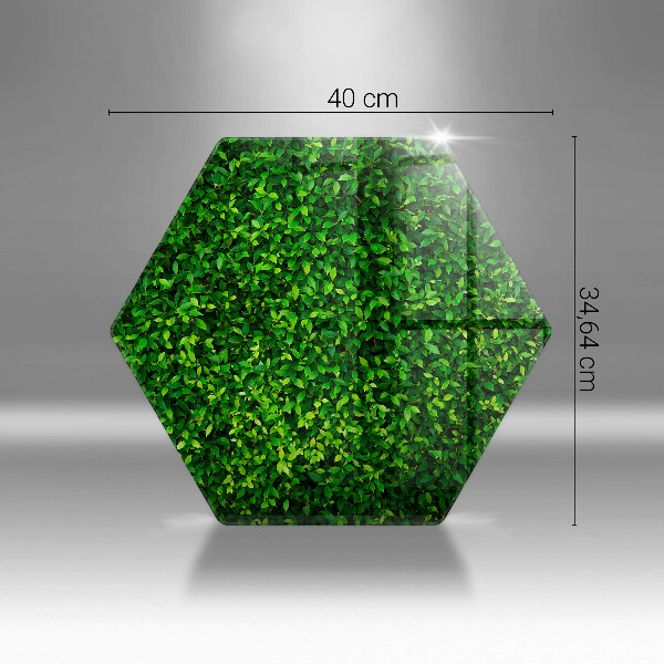 Protection plaque induction Plante à petites feuilles