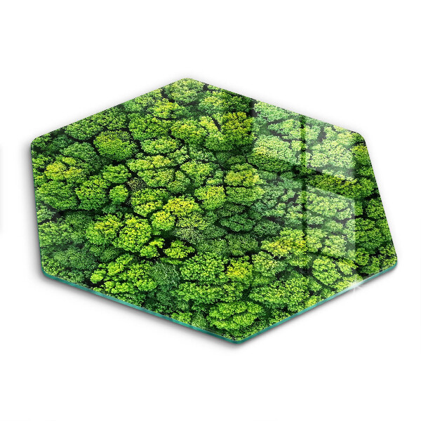 Cache plaque de cuisson Plante de mousse naturelle