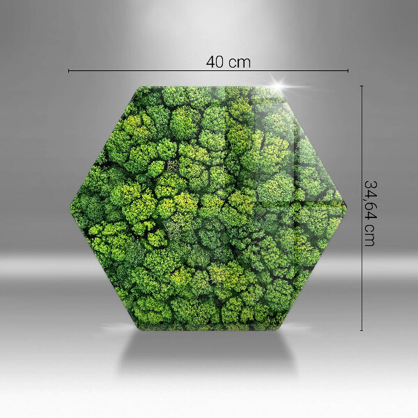 Cache plaque de cuisson Plante de mousse naturelle