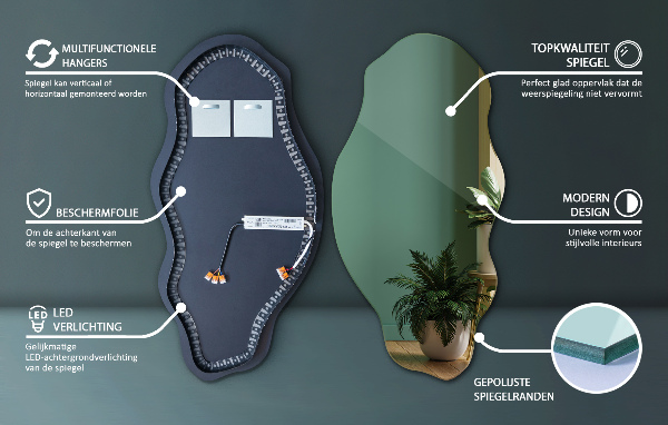 miroir forme organique led décoratif 50x100 cm