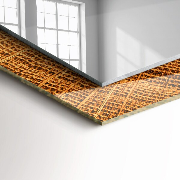 Coupe transversale des anneaux de croissance d'un tronc d'arbre