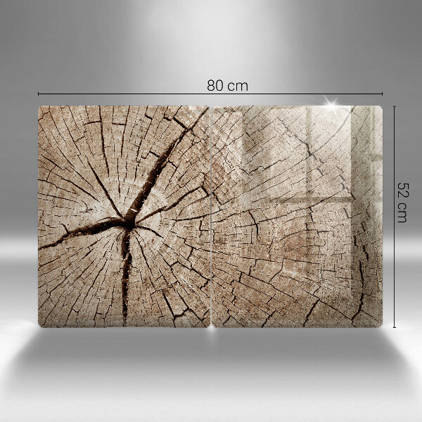 Protection plaque induction Coupe transversale d'un arbre