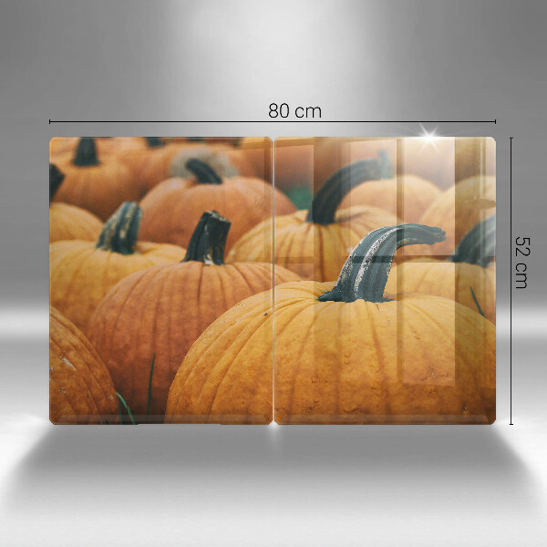 Protection plaque induction Citrouilles