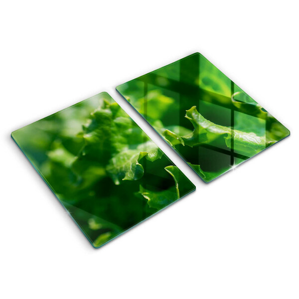 Protection plaque induction Feuilles de laitue