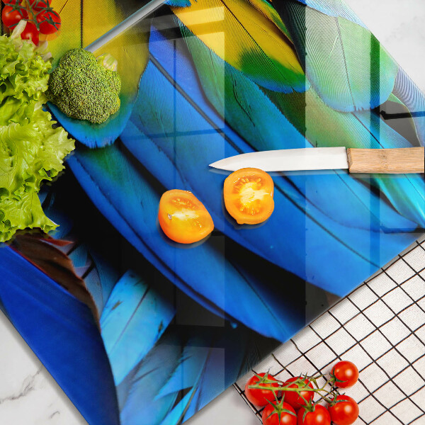 Protection plaque induction Plumes de perroquet colorées