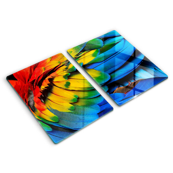 Protection plaque induction Plumes de perroquet colorées