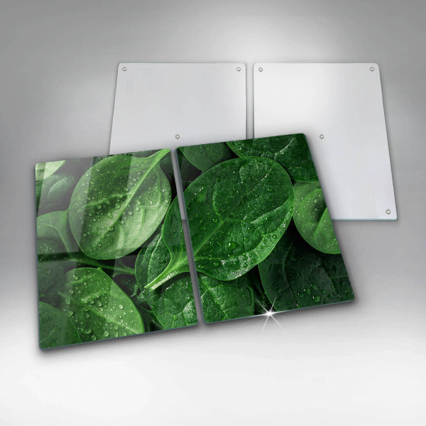 Protection plaque induction Feuilles de basilic