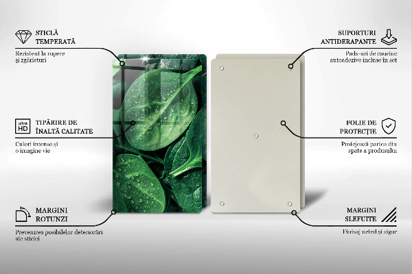 Protection plaque induction Feuilles de basilic