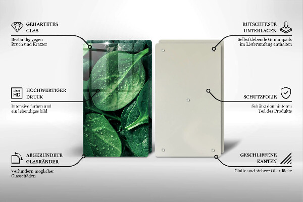 Protection plaque induction Feuilles de basilic