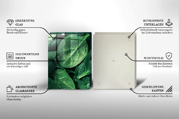 Protection plaque induction Feuilles de basilic