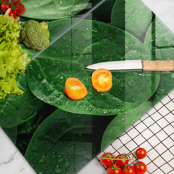 Protection plaque induction Feuilles de basilic