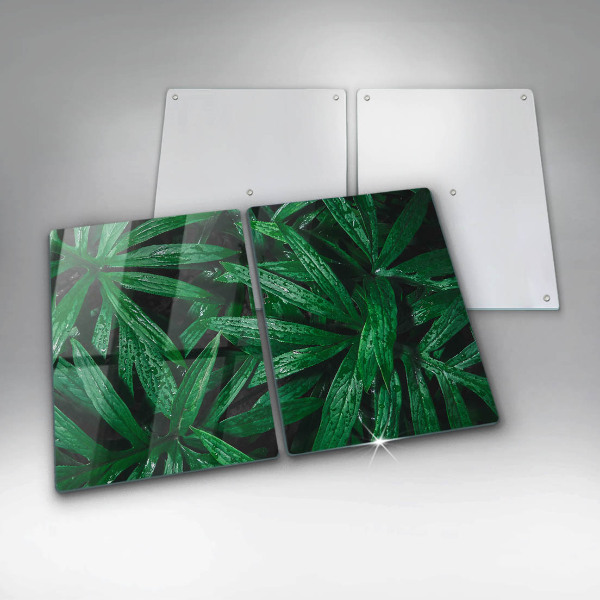 Protection plaque induction Feuilles de plantes