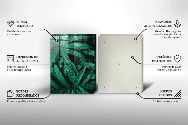 Protection plaque induction Feuilles de plantes