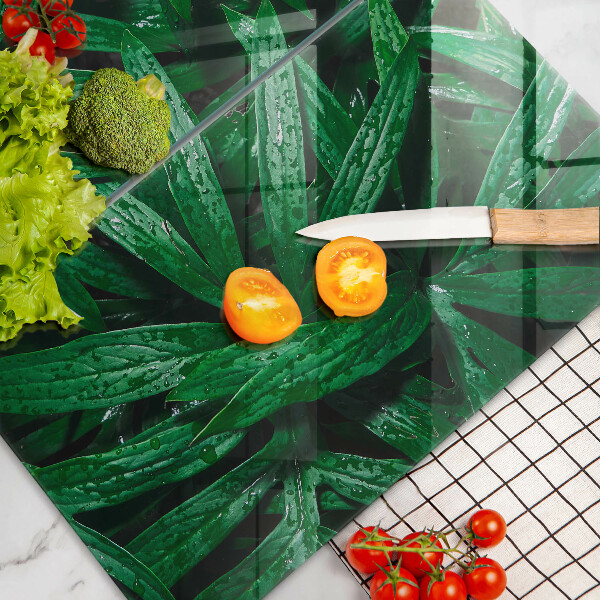 Protection plaque induction Feuilles de plantes