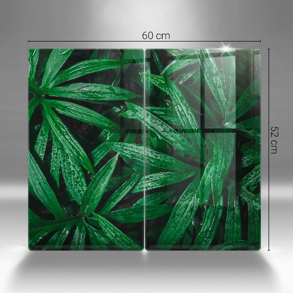 Protection plaque induction Feuilles de plantes