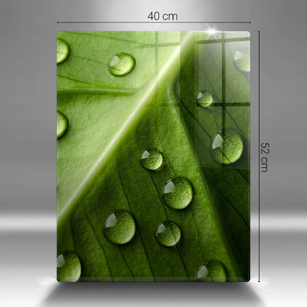 Protège plaque de cuisson Nature rosée et feuille