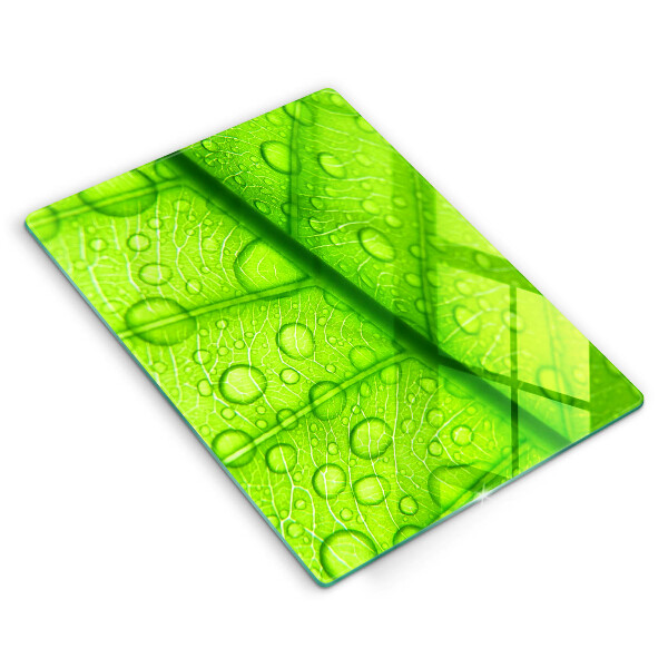 Protège plaque de cuisson Gros plan d'une feuille