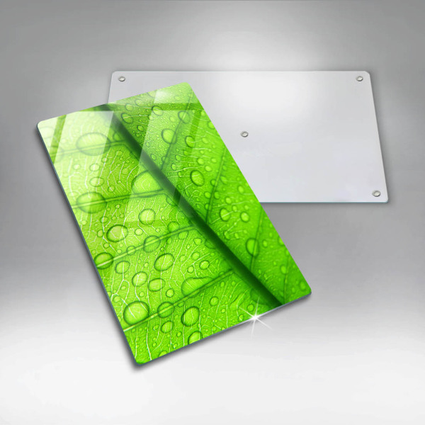 Protège plaque de cuisson Gros plan d'une feuille