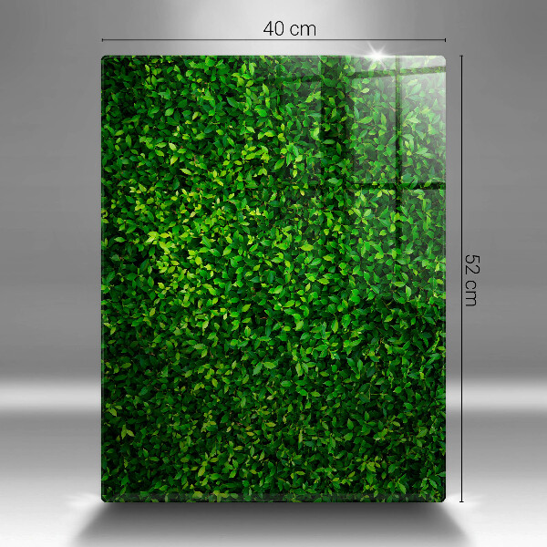 Protège plaque de cuisson Plante à petites feuilles