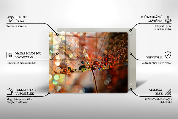 Protection plaque induction Pissenlit mouillé