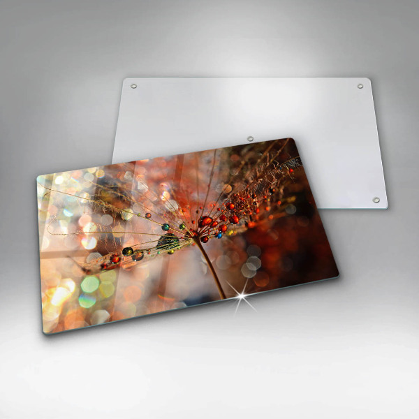 Protection plaque induction Pissenlit mouillé