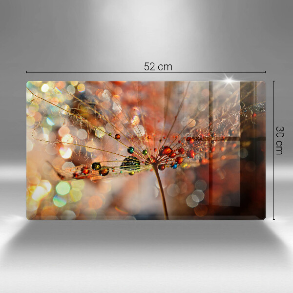 Protection plaque induction Pissenlit mouillé