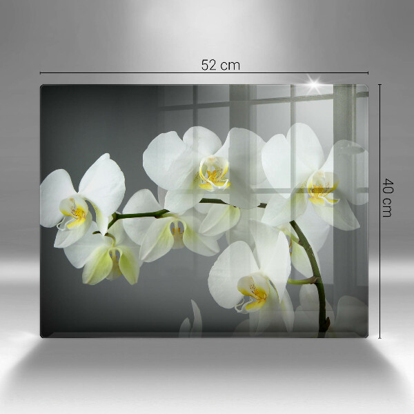Protection plaque induction Fleurs d'orchidées blanches