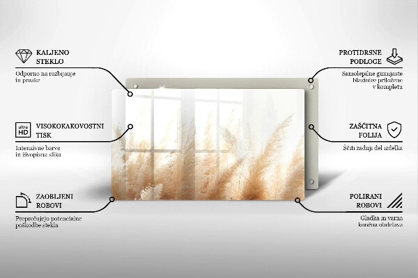 Protection plaque induction Herbe de la pampa