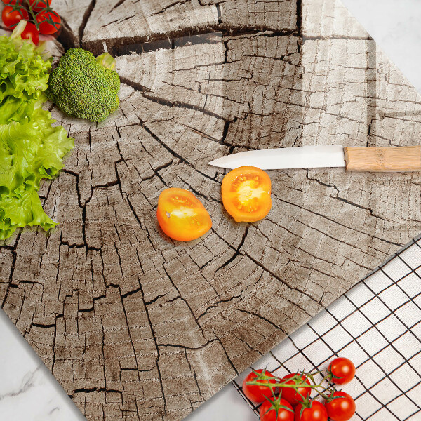 Protection plaque induction Coupe transversale d'un arbre