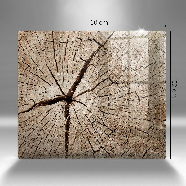 Protection plaque induction Coupe transversale d'un arbre