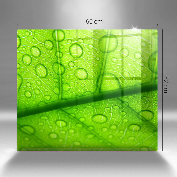 Protège plaque de cuisson Gros plan d'une feuille