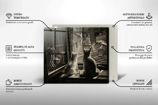 Protection plaque induction Ville et fenêtre des chats