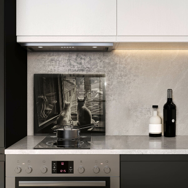 Protection plaque induction Ville et fenêtre des chats