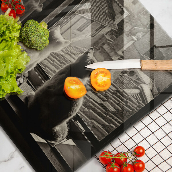 Protection plaque induction Ville et fenêtre des chats