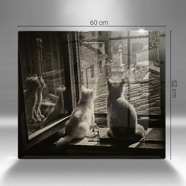 Protection plaque induction Ville et fenêtre des chats