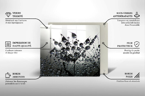 Protection plaque induction Pissenlits et rosée