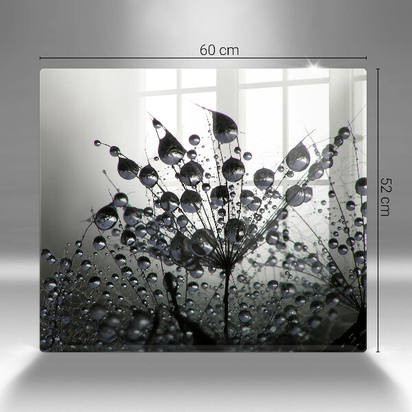 Protection plaque induction Pissenlits et rosée