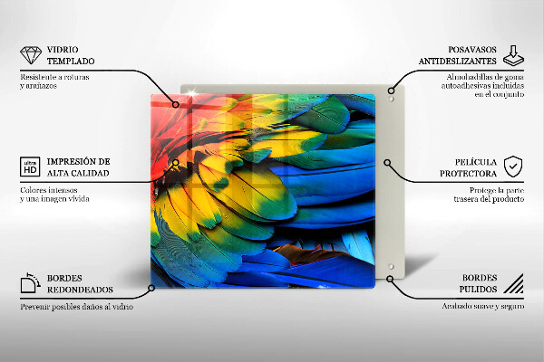 Protection plaque induction Plumes de perroquet colorées